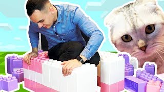 СТРОИМ ДОМ ИЗ ЛЕГО ДЛЯ МОЕГО КОТА СТРОИМ ДОМ ИЗ ЛЕГО ДЛЯ МОЕГО КОТА
