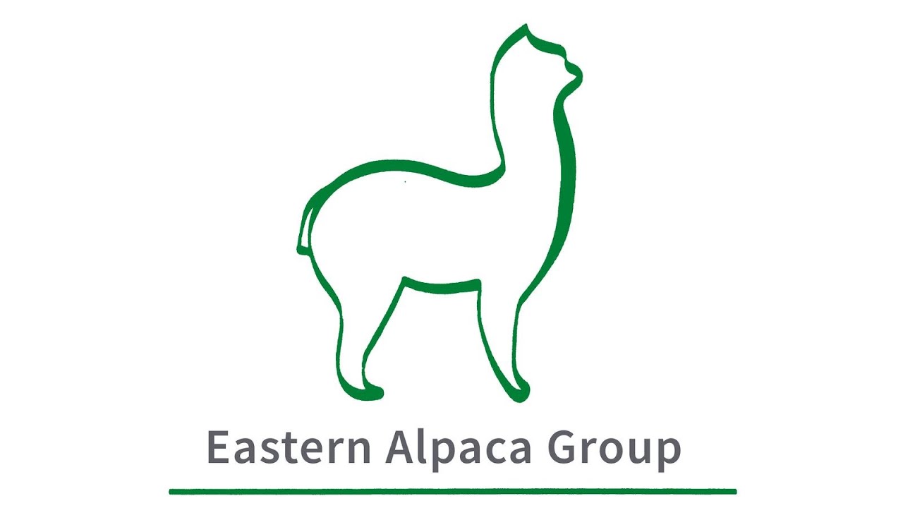 East of England Alpaca Show timelapse