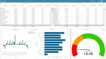 Embedded BI with Panintelligence