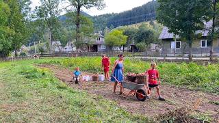 Family Life in the Carpathians 🏡 Marina Cooks Slyshky & Digs Potatoes, Vasyl Installs Gutters