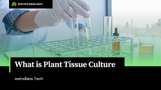 What Is Plant Tissue Culture