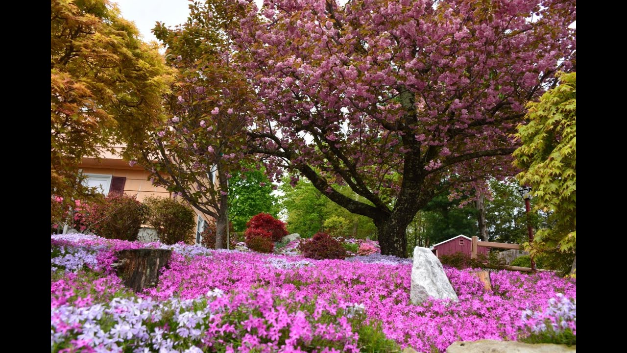 Springy Ma Spring in Massachusetts '2022 - YouTube