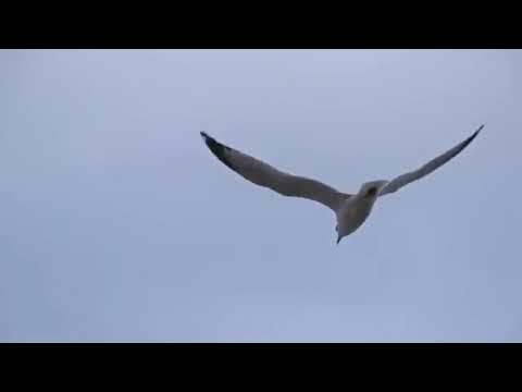 اجمد مهرجان دويتو جديد