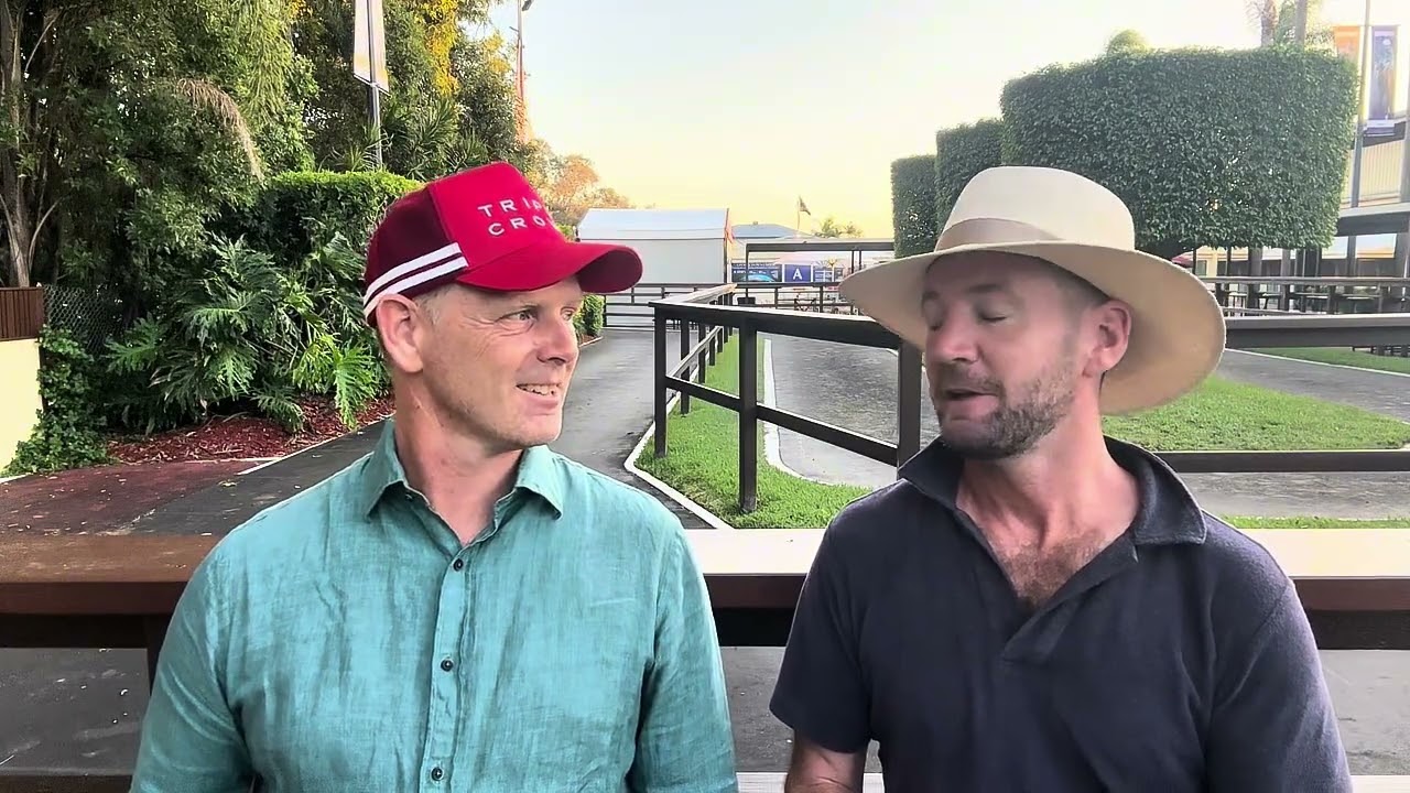 Hitotsu x Found The One Colt