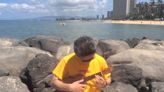 Ukulele in Hawaii - Sanoe