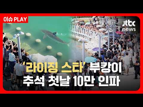 [이슈PLAY] '라이징 스타' 부캉이, 추석 첫날 10만 인파 / JTBC News