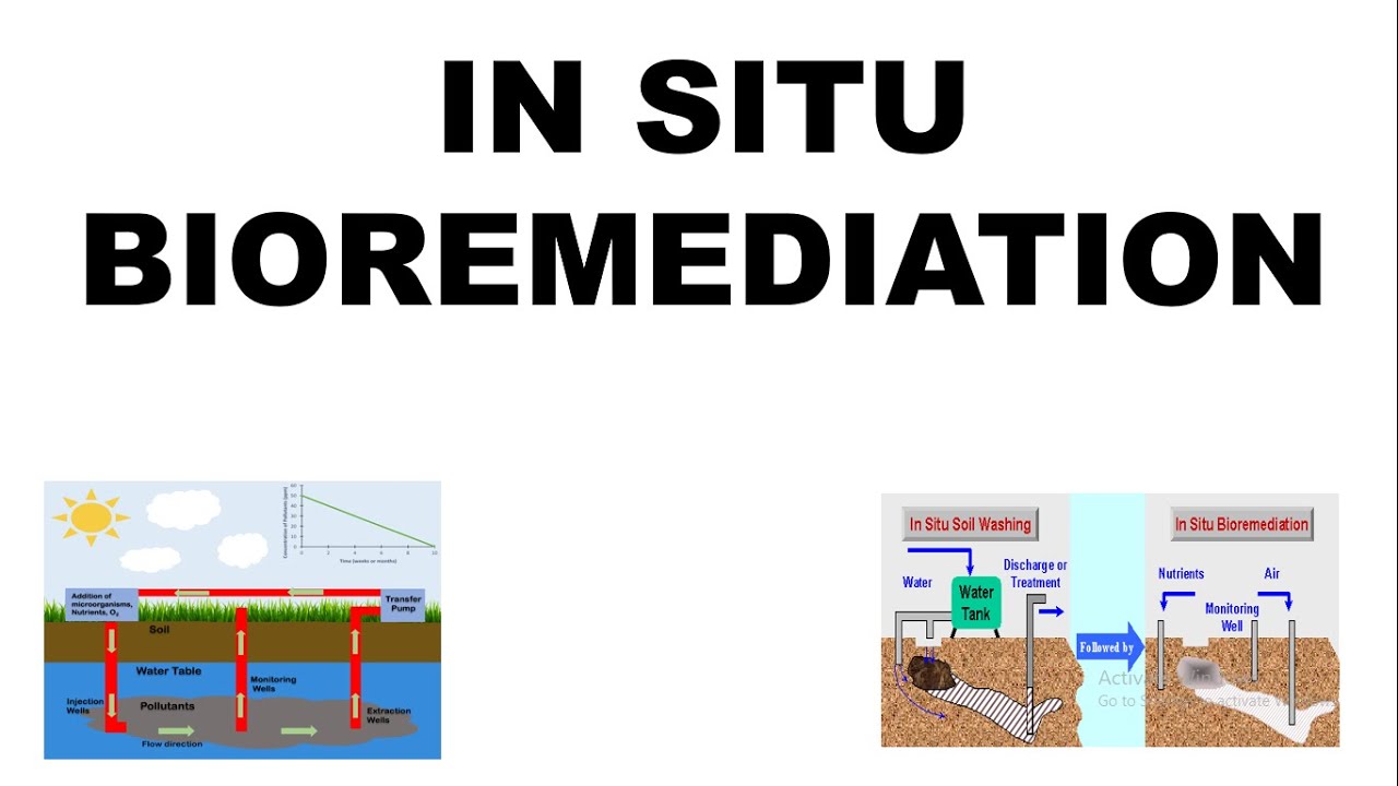In Situ Bioremediation Insitu Bioremediation Biodegradation 