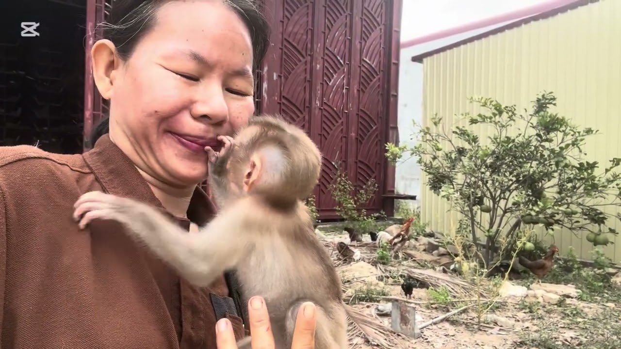 Mary sit and play with the dog