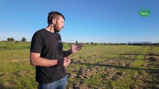 Experimental Silvo Arable System on Carlow Tillage Farm - Jack Brown Farming for Nature Ambassador