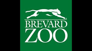 A trip to the Brevard Zoo