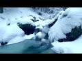 Winter ambience. Babbling brook in snowy forest. 10 hours