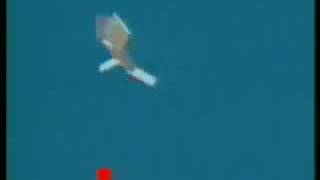 Evolved Virtual Creatures - Original Ambient Soundtrack by Mikey Smith