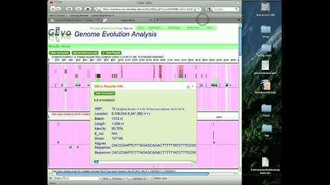 Classical Maize Genes and GEvo