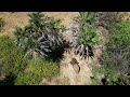 Aerial-led Treatment of Arrowed Elephant | Sheldrick Trust