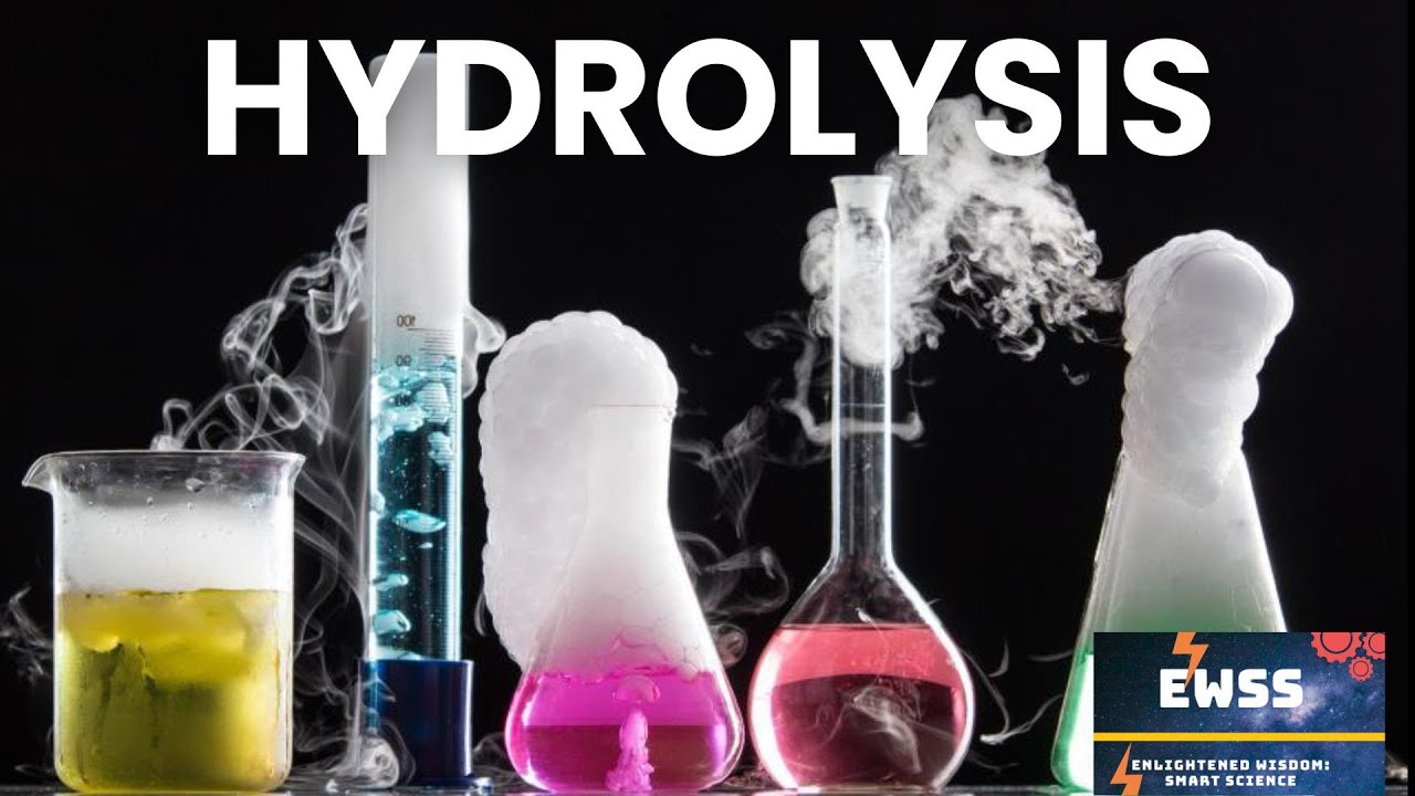 What Is Hydrolysis? Examples And Formulas YouTube