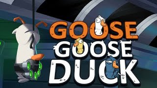 The Most Chaotic Goose Game Ever Played 🔥 | Open 18+ Lobby