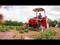 "From 27 People We Are Down To 1" | The Tilmor Tractor Difference