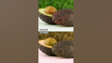 How do those with colour blindness perceive avocados? #ColourBlind #ColorBlind #Shorts