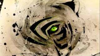 The year of the Tiger - Taoist/Oriental Astrology (Wu Xing)