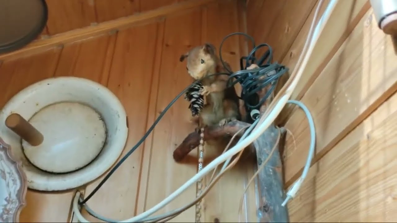 Mökin poltto kun ei täällä käy porukoita.