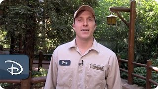 Every Role a Starring Role - Horticulture Planner | Disneyland Resort