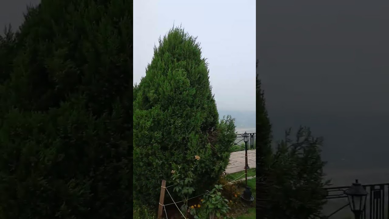 Дворец Амар Махал и окрестности. Amar Mahal Palace and the nearest lands