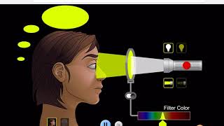 #99  Color My World (pHET Simulation) Wealth