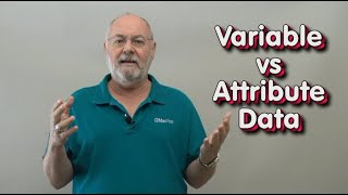 Variable Attribute   Decimal Integer
