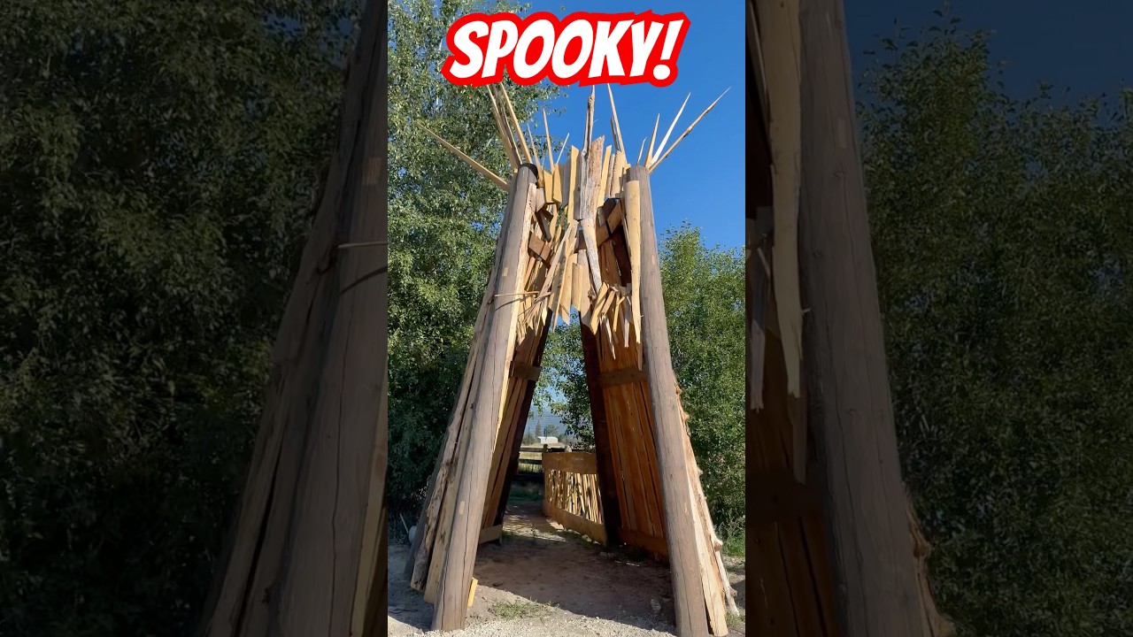 🎃SPOOKY👻❗️#halloween #Spooky #DIY #HowTo #2025 #Upcoming #Fyp💀￼
