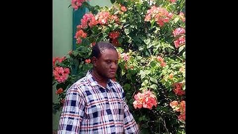 Creating a new sound feedback for talkback the easy way.