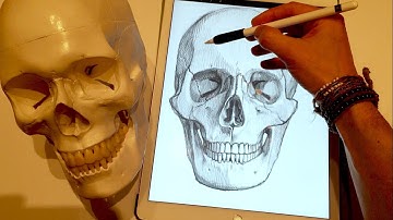 HOW TO DRAW A SKULL,  on iPad Pro with Apple Pencil