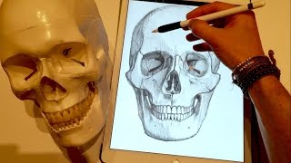HOW TO DRAW A SKULL,  on iPad Pro with Apple Pencil screenshot 4