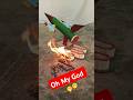 Wait For Rocker 🚀 Fly #rocket #woodtoys #amazingfacts #ohmygod #rocketfly