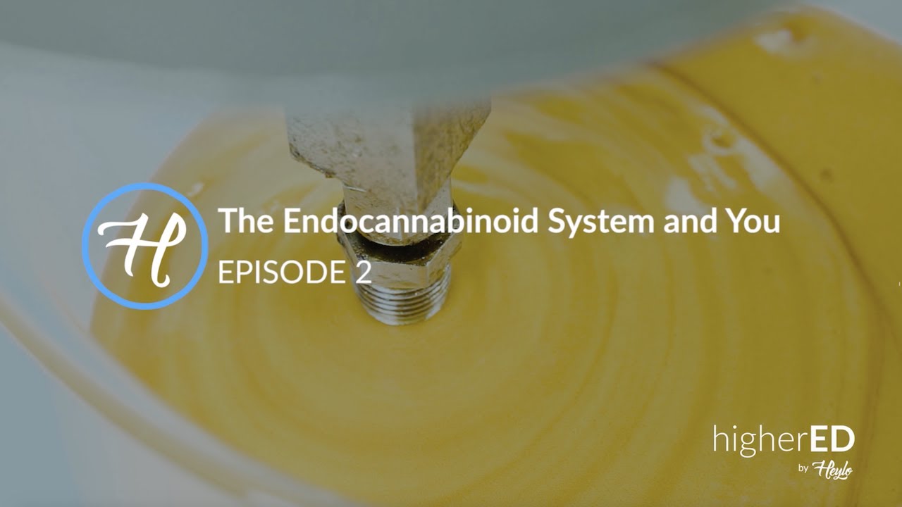 The Endocannabinoid System and You | higherED Episode 2