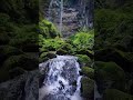 Wishing in the comment sectionMake your dreams come true #解压 #wishlist #waterfall