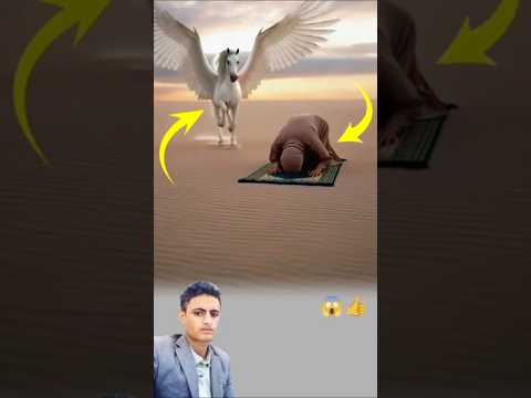 حين كان القلب واثق ا بالله لم يخف الجسد بل خضع الخطر وسجد معه اكسبلور لايك 