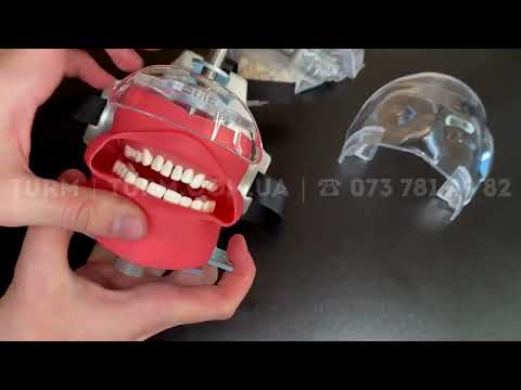 Фантом голови стоматологічний (кріплення на підголовник установки)+32 зуба, видео 1