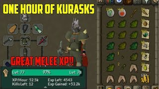 OSRS - Loot From One Hour Of Kurasks! (Money Maker/XP) Update