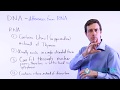 DNA and RNA Differences Quiz
