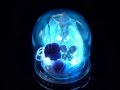 LEDで七色に光るプリザーブドフラワー　オデット　天使のドーム