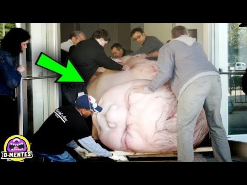 Vídeo: Um Bebê Gigante Nasceu Na Indonésia - Visão Alternativa