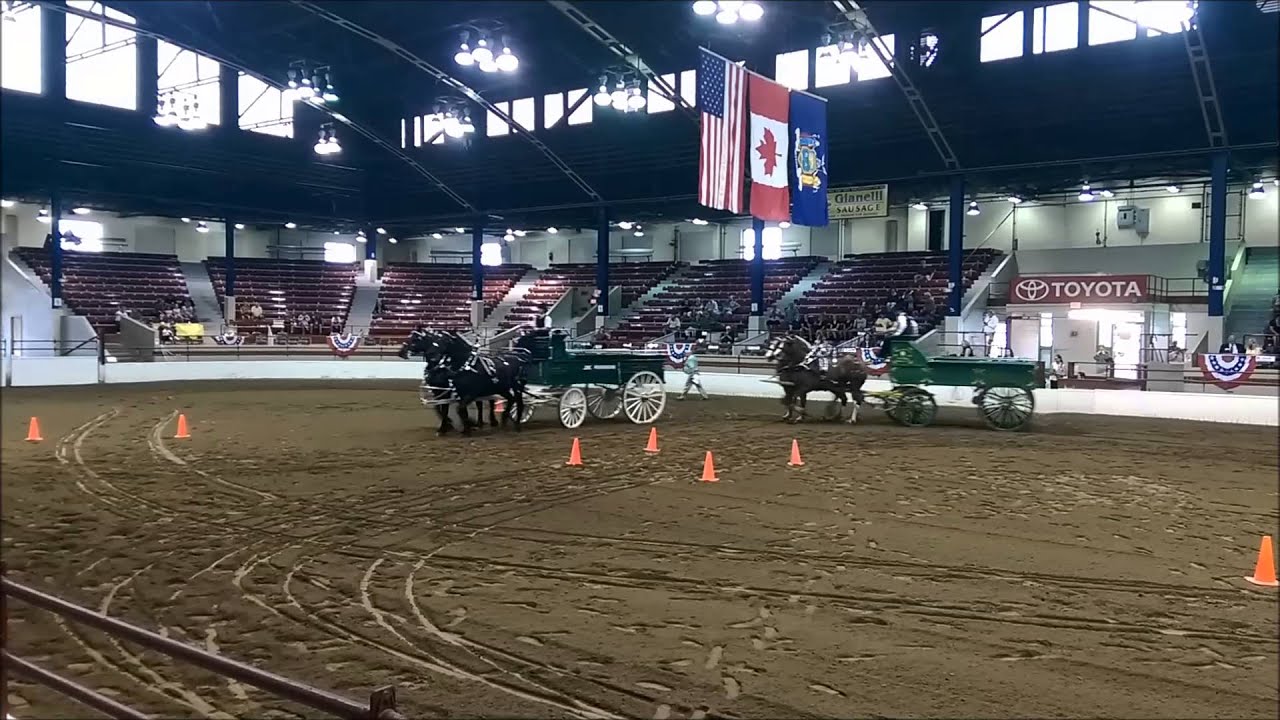 Draft Horse Team Driving Competition at the 2014 NY State Fair with JK