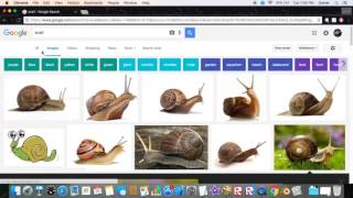 How to speed up CenturyLink Internet [] 2016