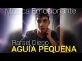 Águia Pequena - Rafael Diego