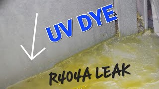 Celebrity Major Refrigerant Leak Detected in Frozen Food Case - Part 1- Net Worth