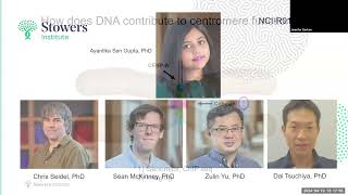 Illuminating the dark matter of the human genome. Presented by Jennifer Gerton, Ph.D.