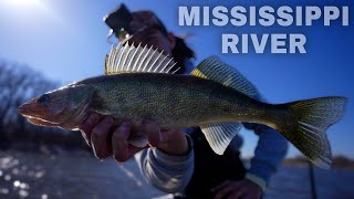 HAMMERING Spring Walleye on the Mississippi River!