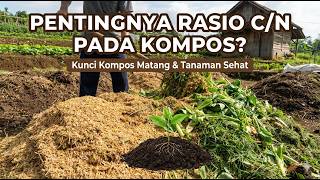 Mengenal Rasio C/N pada Pupuk Organik: Kunci Kompos Matang \u0026 Tanaman Sehat.
