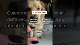 #micoterapia #prevenzioneanimale #rimedinaturali #benesserenaturale #animalidomestici