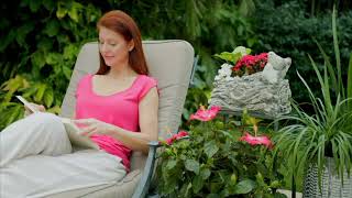Barbara King Two Birds on a Log Planter on QVC